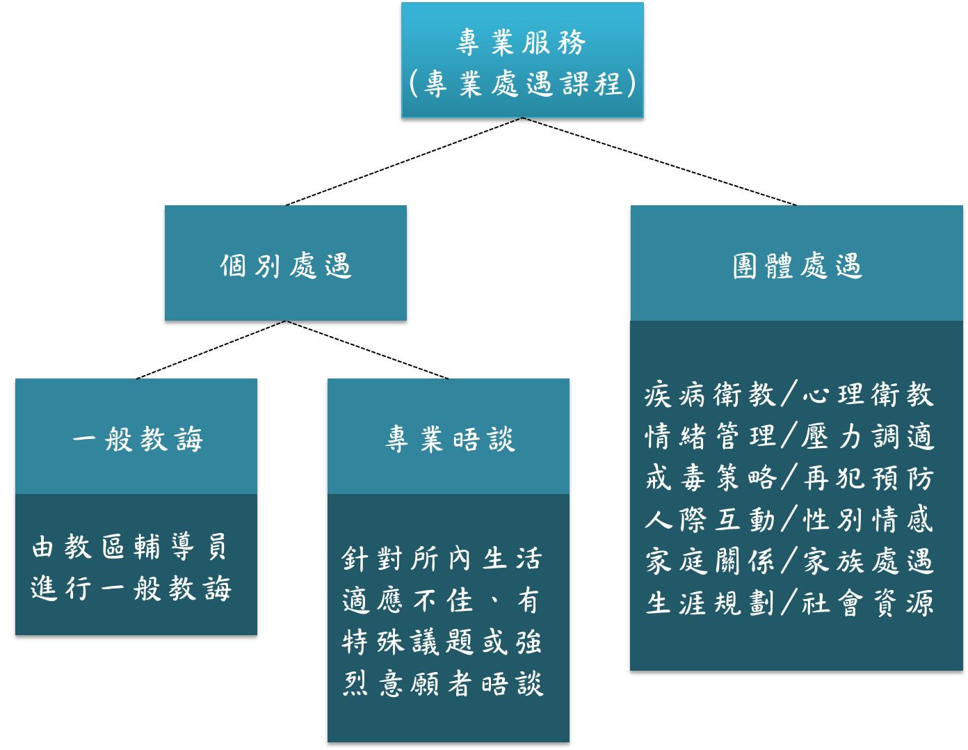 專業服務包括個別及團體處遇，個別處遇又包含一般教誨及專業晤談。