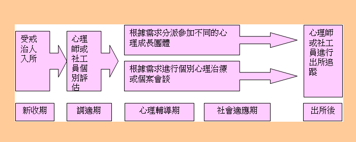 業務介紹--戒治醫療處遇流程圖